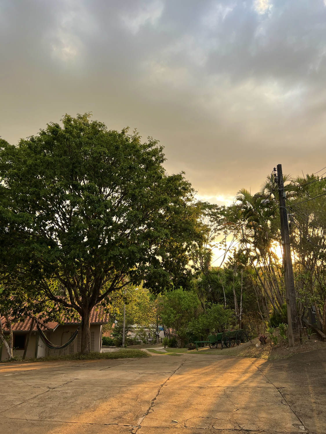 Entrada arborizada da pousada ao pôr do sol